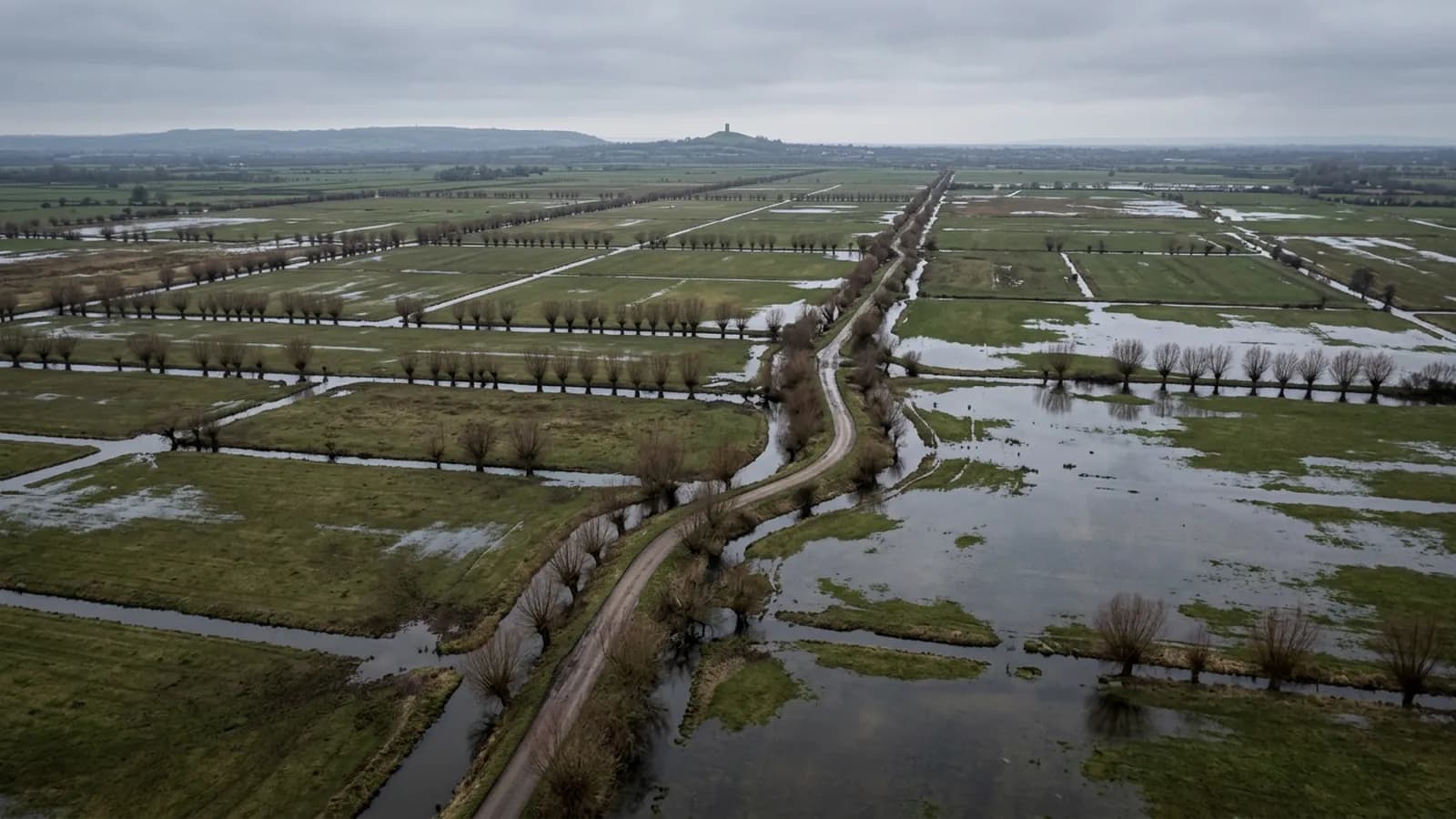 The Somerset Levels in winter from the air, flat grazing marsh divided by straight water filled rhynes with pollarded willows and floodwater lying in the lowest fields