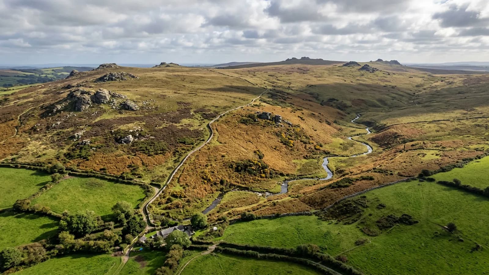 The edge of Dartmoor from the air, open moorland and granite outcrops above a dry stone wall running up from enclosed green fields